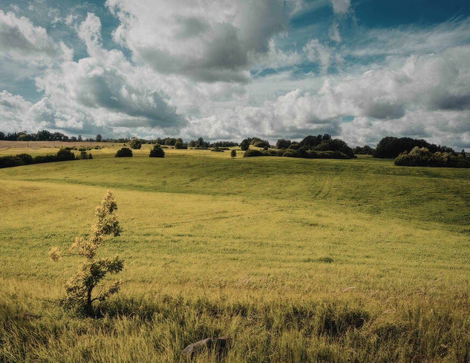 I'm looking for land or development